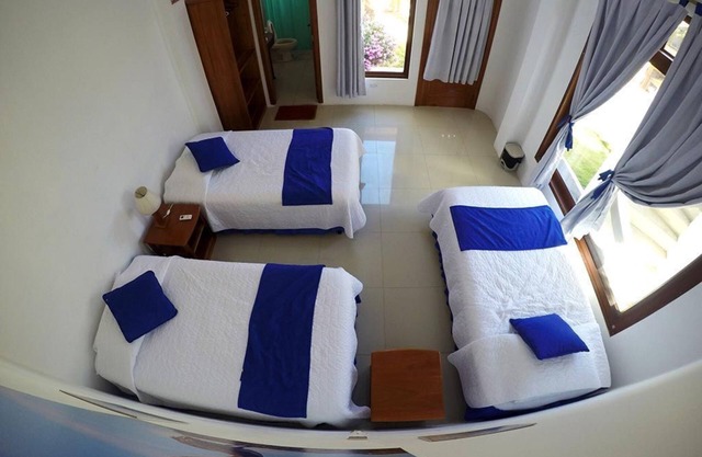 Tour to volcan, swim with sharks! Tripple Room Suite #3