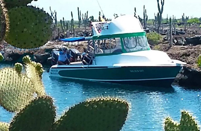 Tour to volcan, swim with sharks! Tripple Room Suite #4