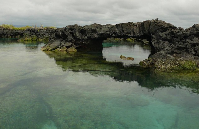 Tour to volcan, swim with sharks - Marriat #6