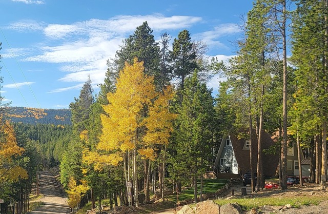 Tranquil & idyllic 3BR/2BA, A-Frame Cabin, w/WiFi in beautiful Evergreen,
