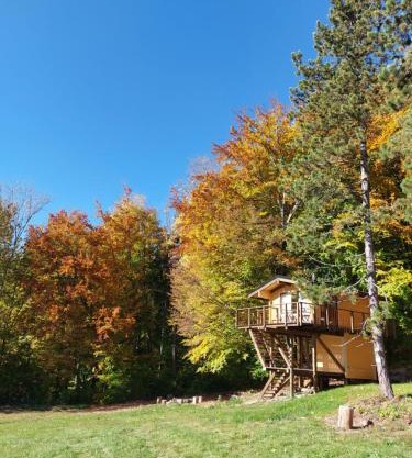 Treetop Tiny House Pod Korunami