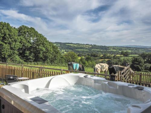 Trem y Gorwel Aberporth