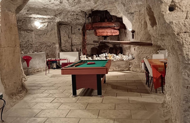 Troglodyte gîte in the heart of the Loire castles. Perfect for families.