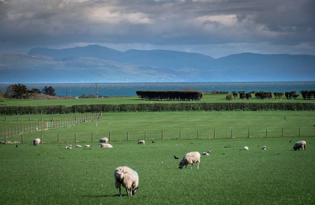 Ty Bach, Llanbedrog - sleeps 6 guests in 3 bedrooms