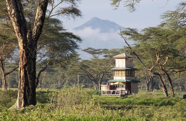 Unique 2-story tower with 360° wildlife views and stargazing showers.