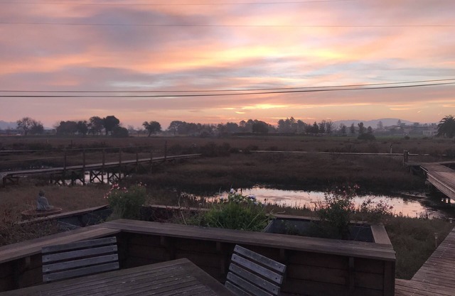 Unique home on tidal creek and marsh.
