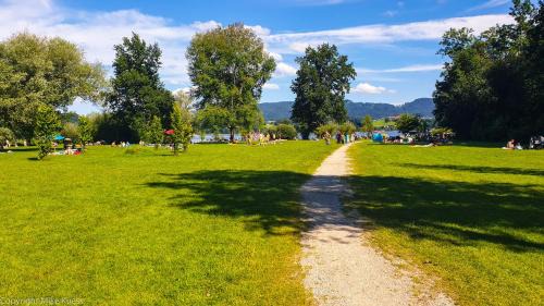 Urlaub am Wallersee