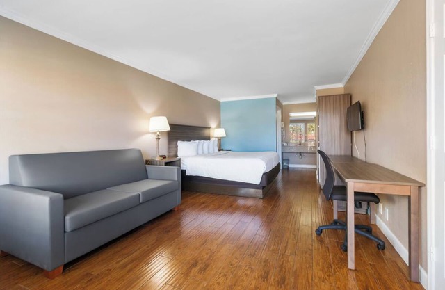 Vero Beach Inn and Suites | King Deluxe | Pet Friendly & Outdoor Swimming Pool