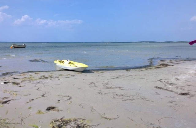 "Vicente" - 130m from the sea by Interhome