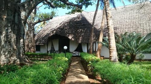 Villa con baobab e piscina