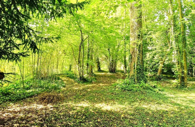 VILLA EDOUARD - 180m2 in nature & forest - 20min Disney - 7min airport