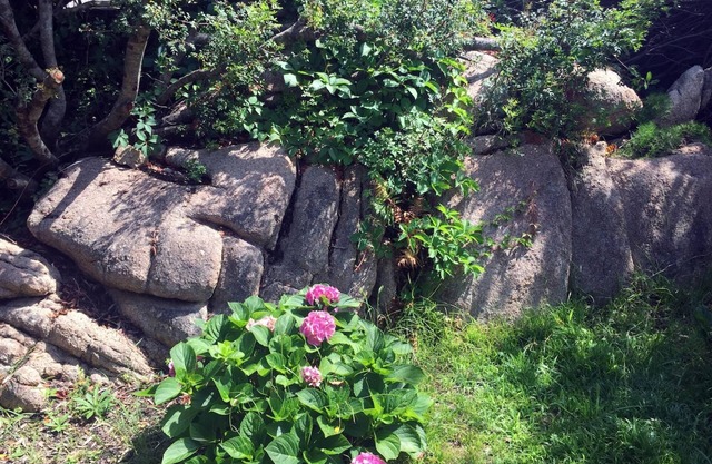 Villa la Bonaccia in La Maddalena