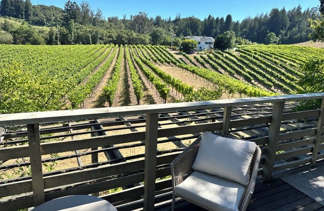 Vineyard View 2-bedroom 1 bath in Forestville, AC, WIFI, STUNNING VIEWS!