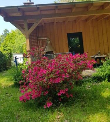 Waldbadhäusel Naturbad-Bungalow