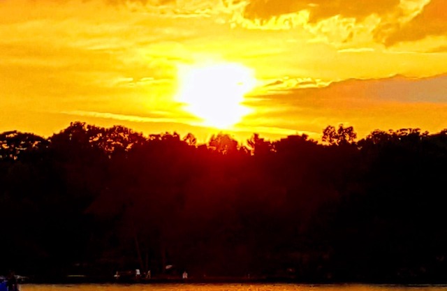 Waterfront Cottage Close to White's Falls