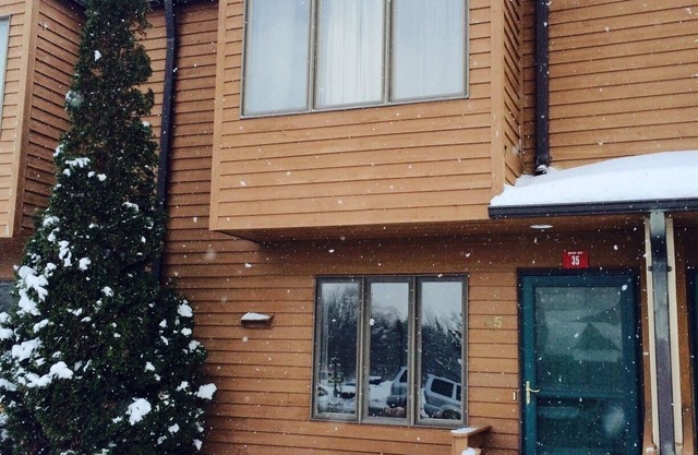 Windham Mtn! 2BR/2B, Sleeps 6-8. Wi-Fi. Ski, Fine Dining, Hike, Antiquing, More!