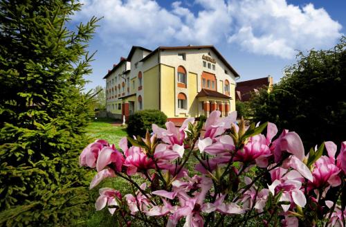 Truskavets Hotel | Алексік