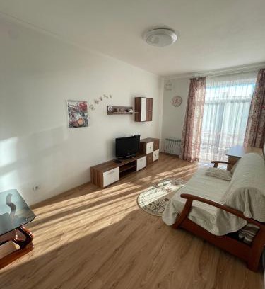 Truskavets Apartment | Апартаменти з балконом студія без окремої спальні