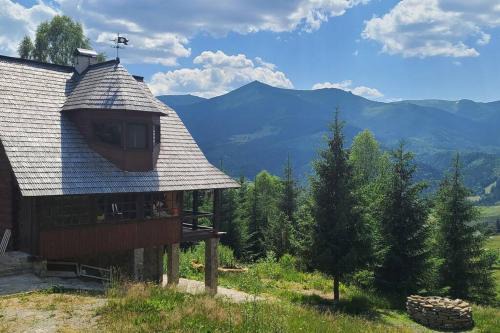 Snidavka House | Велика Дзен Хата