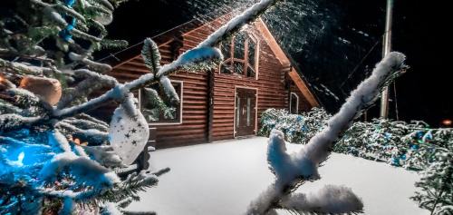 Plavya House | Галерея Карпат