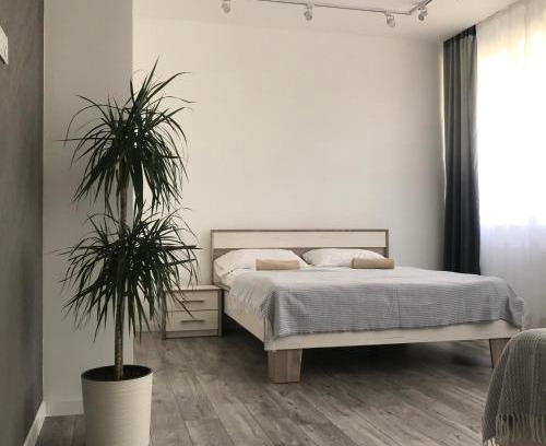 Ternopil Apartment | Затишні та просторі апартаменти в новобудові