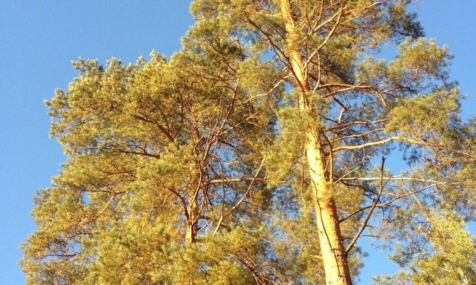 Punkaharju Apartment | Отдых в райском уголке в двухкомнатной квартире