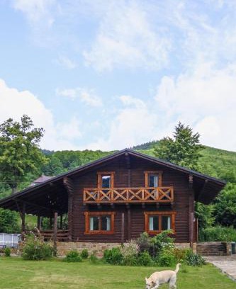 Dubyna Ski Chalet | сottage "Ksenija" котедж "Ксенія"