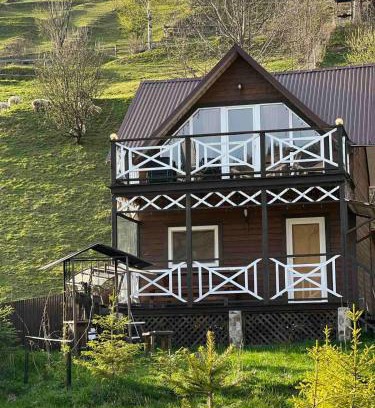 Synevyrska Polyana House | Файна хата 2