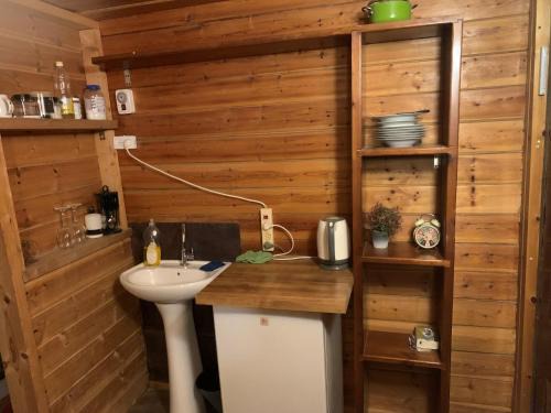 Nevatim Ski Chalet | בקתה מעץ בחווה farm B'H