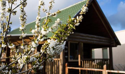 El-Rum Ski Chalet | דליה ברמה -אירוח כפרי צמחוני