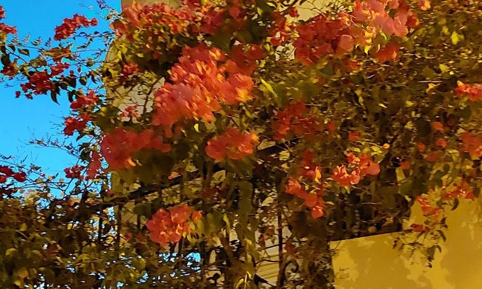 Madinet Borg Al Arab House | فيلا انور يسن ابو كليلة