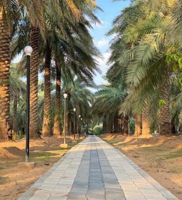 Buraydah Resort | منتجع كسب