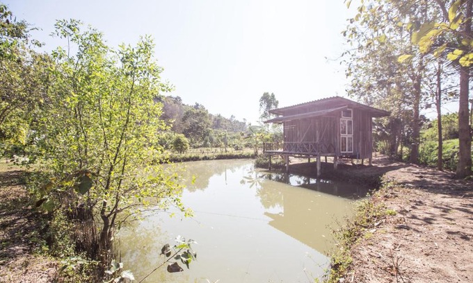 Mae Taeng House | บ้านเพื่อน อยู่ในป่า - Friend's house Homestay Mae Tang