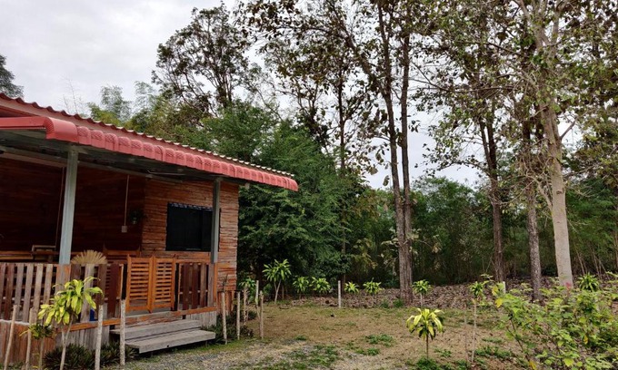 Mae On House | สายฝนการ์เด้น