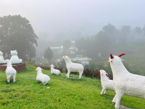 Khao Kho Hotel | เนริสารีสอร์ท เขาค้อ