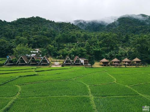 Bo Kluea Resort | เสน่ห์ at บ่อเกลือ