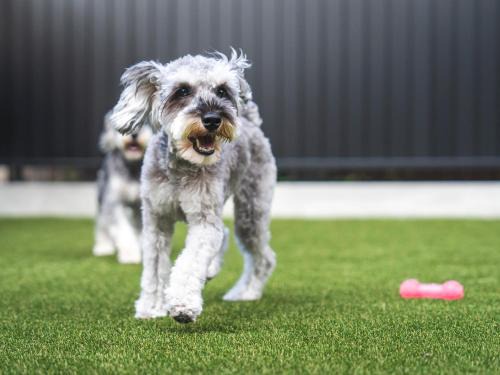 Izumo House | 出雲日和 by HIYORISTAY