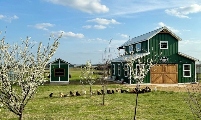 China Spring Cabin | 1-bedroom cabin with WiFi, King Bed, & AC on a Scottish Highland Farm