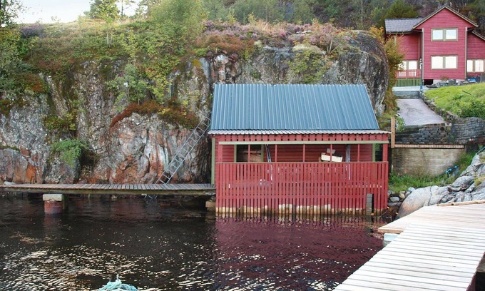 Hosteland House | 10 person holiday home in HOSTELAND-By Traum