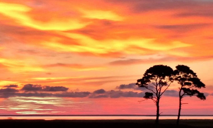 Cape Charles House | 100-Acre Private WATERFRONT Home- NatureLovers Paradise & Views!