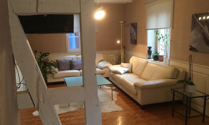 Mittelschaeffolsheim Apartment | 120m2 cozy duplex in farmhouse between Strasbourg and Haguenau