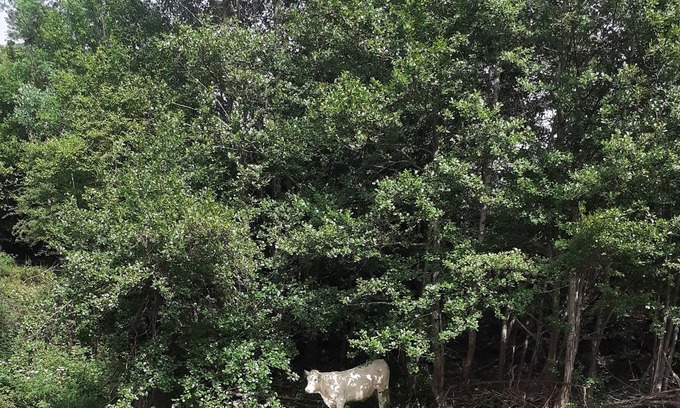 Le Monastier-sur-Gazeille Apartment | 140 m² by the river, quiet and nature at Monastier sur Gazeille