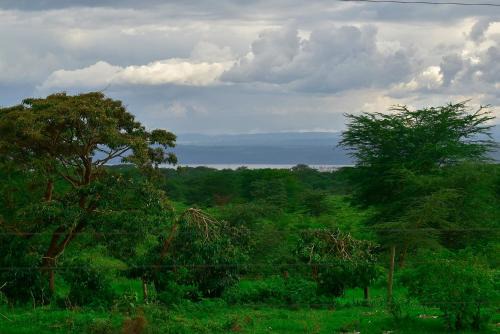 Central Province Apartment | 2 bedroom