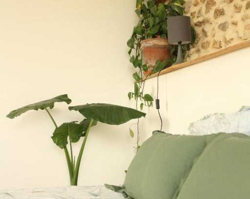 Bonnut House | 2 Gites 4 étoiles pour 2 à 4 personnes et jusqu'à 10 personnes, entre Béarn, Pays basque et Chalosse