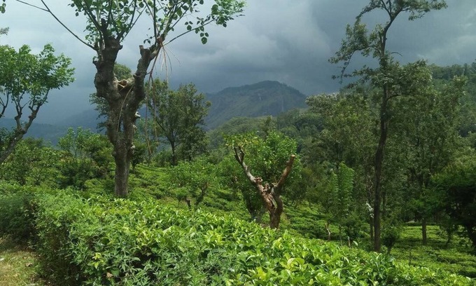 Ella Villa | 2 luxurious room,2 clay House, 9 bed larger room for group of family,20 tentnnn