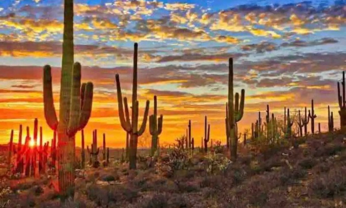 Trail West House | *2 Master Suites*SPARKLING CLEAN*2mi to Old Town*