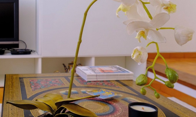 Padru Apartment | 3 bedroom apartment in sardinia