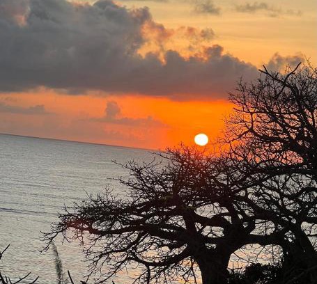 Funzi Island Villa | 3bed oceanfront with Ac &gazebo