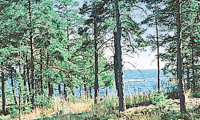 Hammaro Municipality House | 4 bedroom accommodation in Hammarö