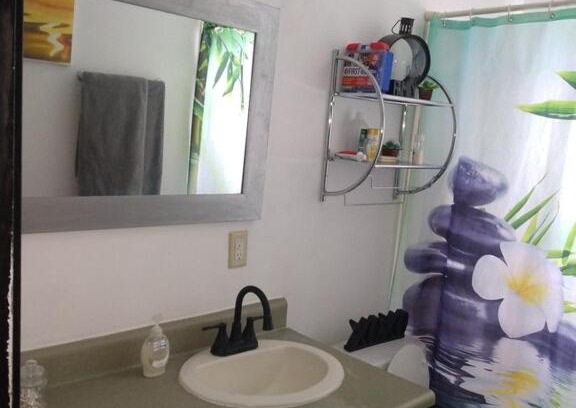 Sauk Village House | 4 bedroom ranch, 30 minutes to Chicago